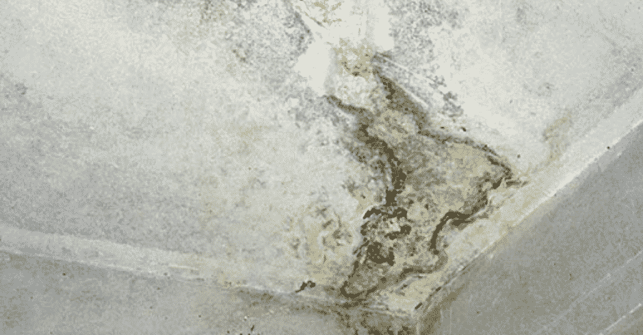 PATOLOGIA DAS EDIFICAÇÕES: COMO REALMENTE TRATÁ-LAS!